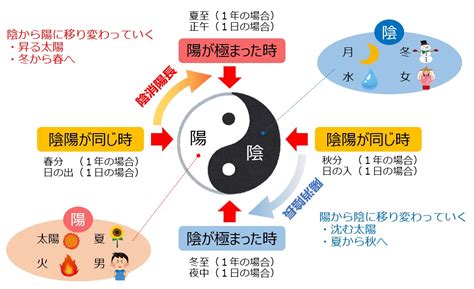 陰水 意味|陰水 中医学用語解説